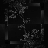R.Berg - Ritual / Novel / Bismuth