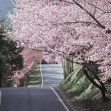 Spring Interval extensive