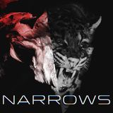 L'Oeil du Kong: Narrows