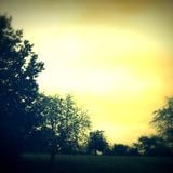Mr.Nilson - GraySunday