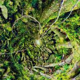 B.e.n. - "Psychedelic Bliss" - Part 7/7 ( Psy-Progressive² ) - 18h mix of Ultimate Trance Experience