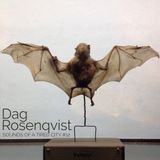 Sounds Of A Tired City #12: Dag Rosenqvist