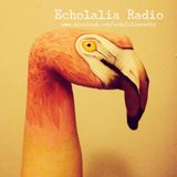 Echolalia Radio EP 79: Flamingo Fury