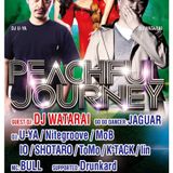 2015 Jan PEACHFULJOURNEY MIX by DJ LiN