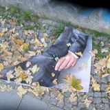 Timeful / Zeitvoll