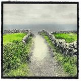 A Farewell to Winter (live radio broadcasting - 27/02/2013)