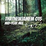ThatNewJamFM 015: Mid Year Mix