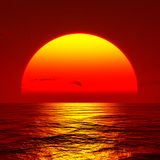 Dj Poolice - In The Summer