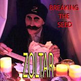 Breaking The Seed - 'ZOLTAR' Live @ Burning Seed 2015