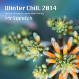 Winter Chill 2014