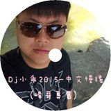 DJ小乖 2015 - 中文慢搖(峰哥專屬)