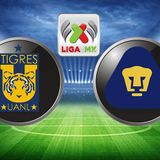 ¿Tigres campeón?