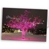 Pinkys Brighton Rock - A VERY PINKY CHRISTMAS!!!