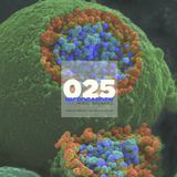Microgarden #025 by Pervis Navarro at Loca Fm "Special Ibiza 2010"