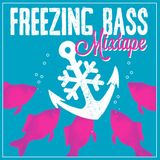 Surfdisco - Freezing Bass Mixtape 2012