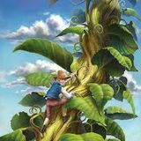 Jackin The Beanstalk 5