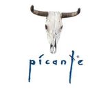 TamerSanli- Saturday Night Show at Cafe Picante Bursa 25102014