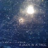 A Duck in a Tree 2013-08-03 | The Sea Mattered Early On