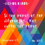 BICHOS RAROS PROGRAMA #5