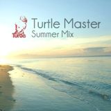 Turtle Master - Summer Mix 2012