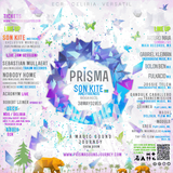 Robert Leiner Prisma dj set 30 May 2015 Mexico