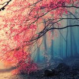 Indian Summer ( Mixtape by LCAW )