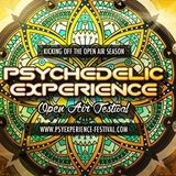 Psychedelic Experience 2015 Psy Chill