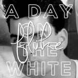 A Day On The White - Fluke Mix