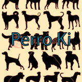Perro Ki // vamo las piiiiibas