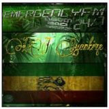 #65 Emergency FM - Jungle Show - May 13th 2014 (Part 1)
