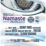 Anakis @NAMASTÉ 2 - GAÏA TOUR (28/09/2013 à Bordeaux)