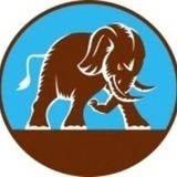 Low Elephant