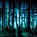 Progressive Forest Pt.2