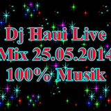 Dj Haui Live Mix 25.05.2014 100% Musik