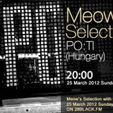 Po:ti guestmix to 28Meow's Selection 25.03.2012.