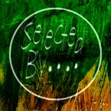 Selected By DJ Anon 2009 04 28