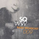 SWQW Radio Broadcast 009 - Hommage à Raster-Noton + Playlist "Disturbing Meeting Above The Clouds"