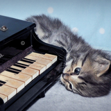 Piano Thing