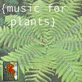 MUSIC FOR PLANTS: VOL 1: SOFT DIRT