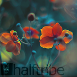 March Soundcloud mix