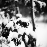 Off #01 - Cold