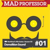 Demolition Sound - Mix-bute to Mad Professor (northical) 7/1/16