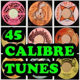 45 Calibre Tunes (Reggae 45s)