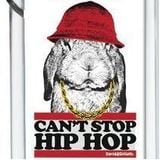 Can't Stop the Hip Hop