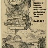 Expansion of Presence : Curiosities Macrocosm with guest curator The Autumn Stones