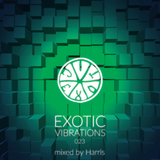 Exotic Vibrations 023 (October 2015)