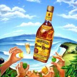 Moombahton Madness- "Tropical Bass in Your Face"