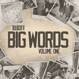 BIGWORDS_Vol1_SKILLZ