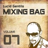 25 Years The Cosmic Family - PT 2 :: Lucid Gentil in the Mix 2013-09-28