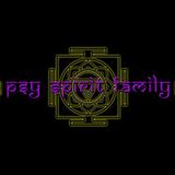 psykelo. tracklist Tribes Connection (psf 2013)